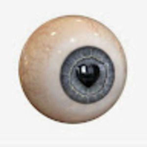 Meet your Posher, Miles